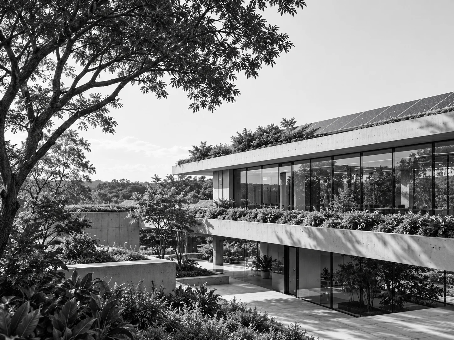 Campus de tecnologia sustentável com painéis solares e vegetação